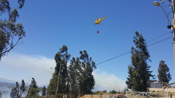 Incendio forestal afecta a viviendas y obliga evacuar más de 200 personas en Concón