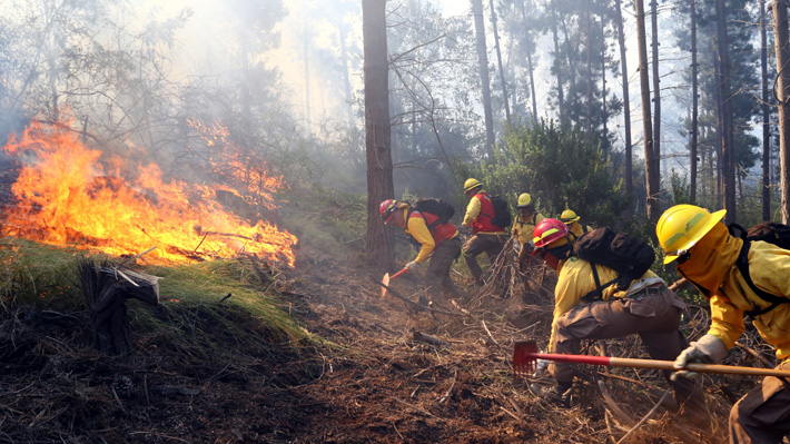 Onemi Metropolitana por incendios forestales: 
