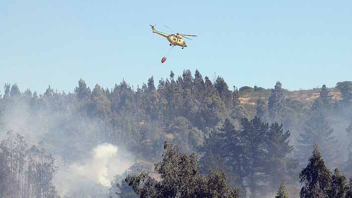 En lo que va de temporada se han registrado 136% más de incendios forestales que el período anterior