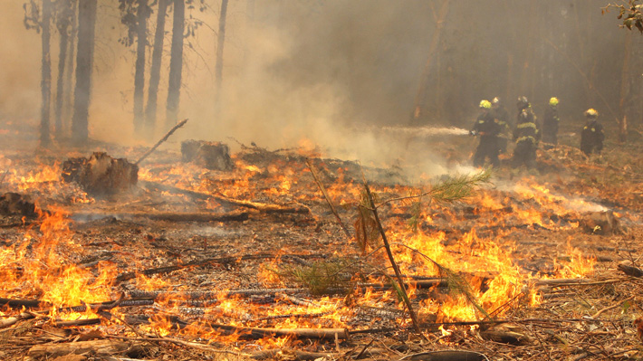 Incendios forestales en la Región Metropolitana han aumentado diez veces desde la temporada pasada