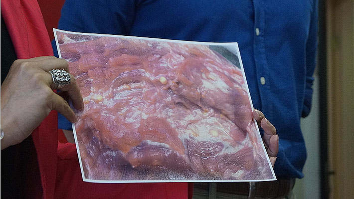 Ministerio de Salud decreta alerta nacional por carne contaminada proveniente de Brasil