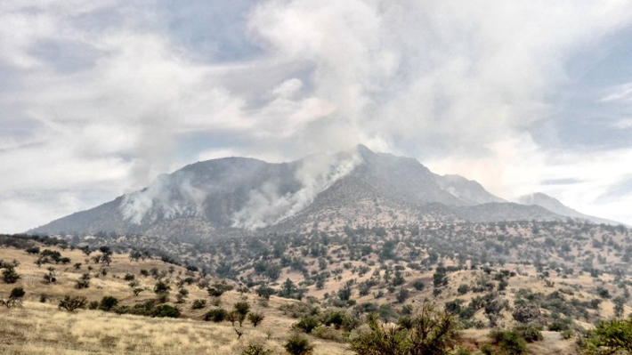 Continúa la Alerta Roja en la comuna de Peñaflor por incendio forestal en Los Corrales