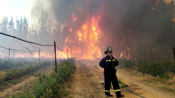Conaf combate seis incendios forestales en la zona central del país en día récord de calor
