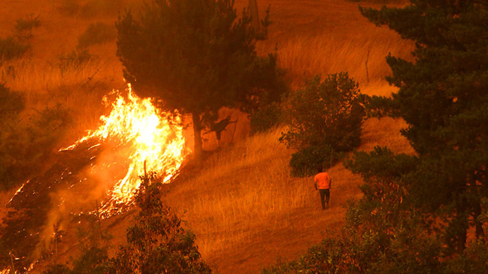 Conaf advierte que pronóstico de fuertes ráfagas de viento en zona de incendios complicará accionar de brigadistas