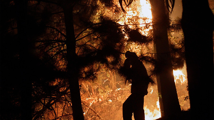 Gobierno instalará ministros en regiones afectadas por incendios forestales