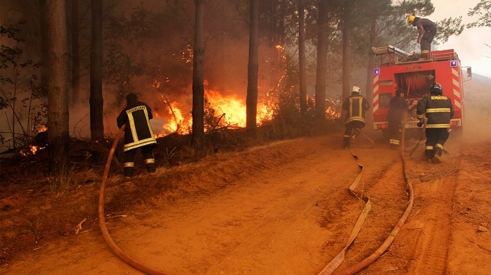 Mega y TVN harán campaña en conjunto por incendios forestales