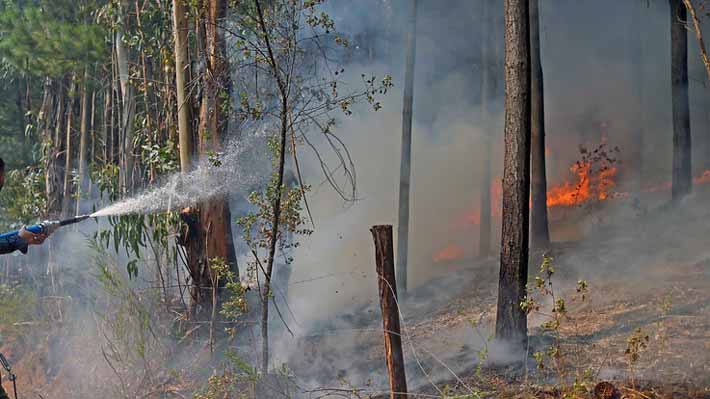 Ayuda internacional: 380 brigadistas extranjeros trabajan en el combate de las llamas