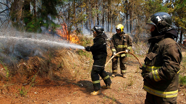 Onemi: 6.370 personas han resultado damnificadas por incendios forestales