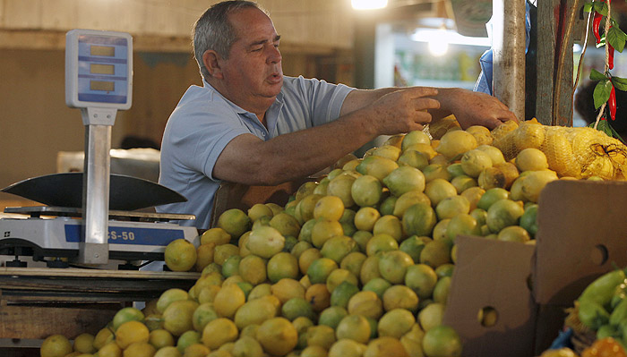 Precio de los limones ya anotó su peak histórico y prevén inicio de tendencia a la baja