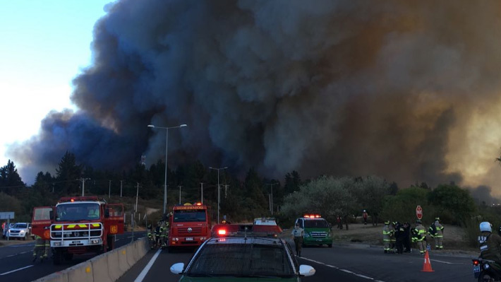 Actualización permanente del incendio en Valparaíso: Mineduc ratifica suspensión de clases en Viña del Mar