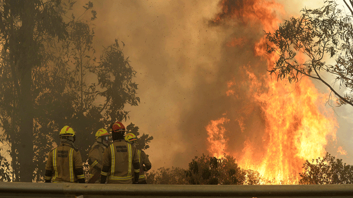 Intendencia informó que clases en Viña del Mar quedan suspendidas el lunes