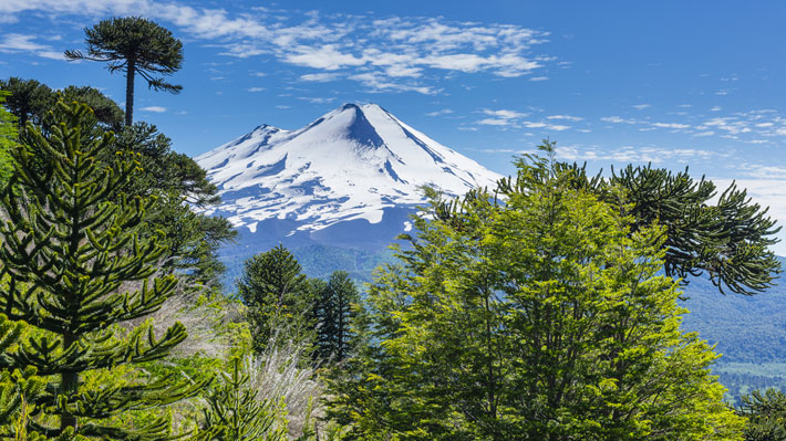 Ranking Los 5 Parques Nacionales De Chile Que Tienes Que Visitar