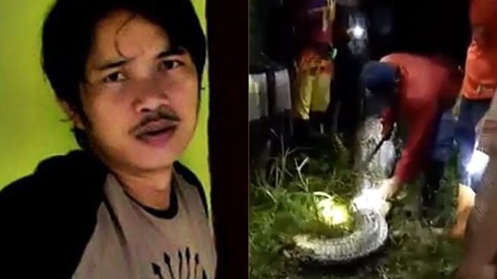 Una serpiente pitón se come a una mujer en Indonesia | Vídeo