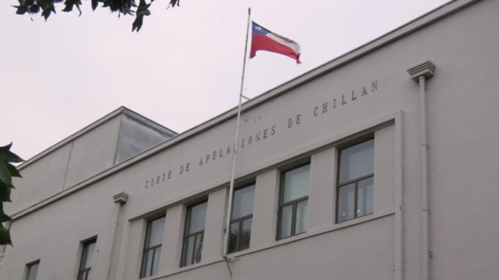 Jueza dirige audiencia con su poodle en el estrado: Corte de Chillán reprocha el hecho y dice que es un "caso aislado"
