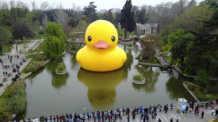 ¿Es el "Pato de Hule" una obra de arte? Expertos chilenos contrastan visiones
