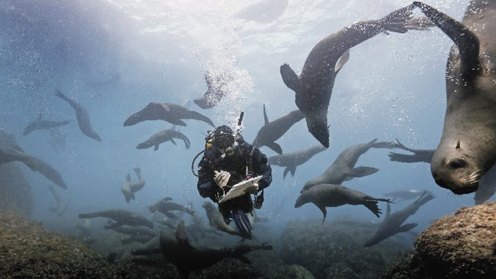 El pr&iacute;ncipe Carlos de Inglaterra destaca el aporte de Chile a la conservaci&oacute;n marina