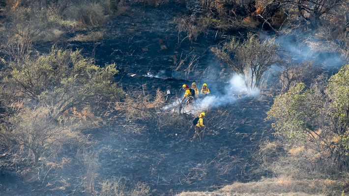 Intendencia informó que incendio en Chicureo está contenido, pero no controlado