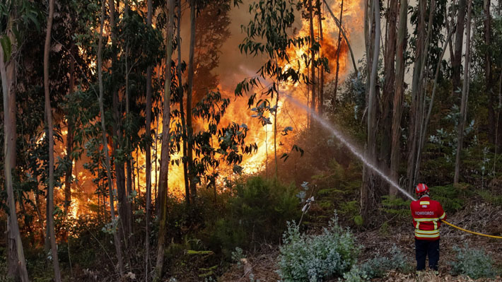 Incendios forestales: Onemi decreta alerta temprana preventiva en cuatro regiones ante presencia del factor 30-30-30