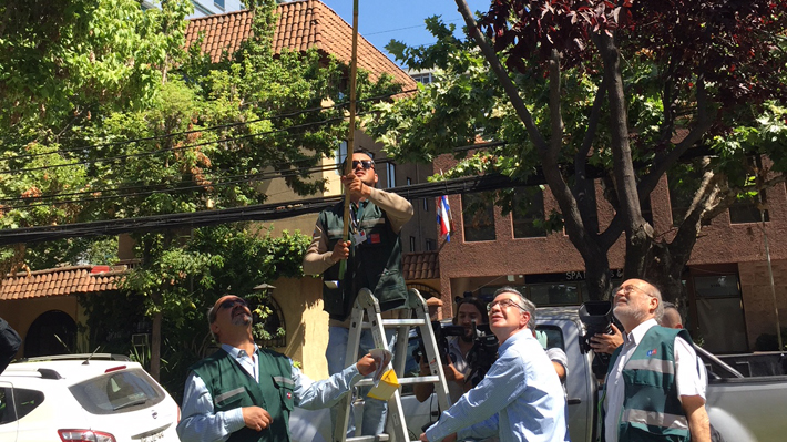 Mosca de la fruta en Las Condes: SAG iniciar&aacute; un operativo casa por casa para exterminarla