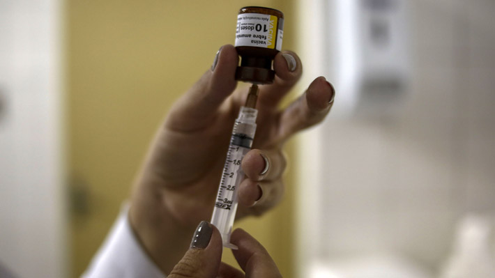 Brote de fiebre amarilla en Brasil: OMS recomienda vacunarse antes de viajar a ese país