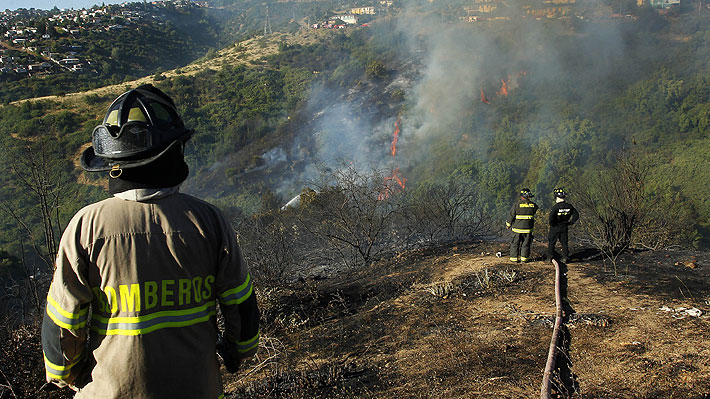 Intendencia de Valparaíso declara Alerta Roja por incendio forestal en Cartagena