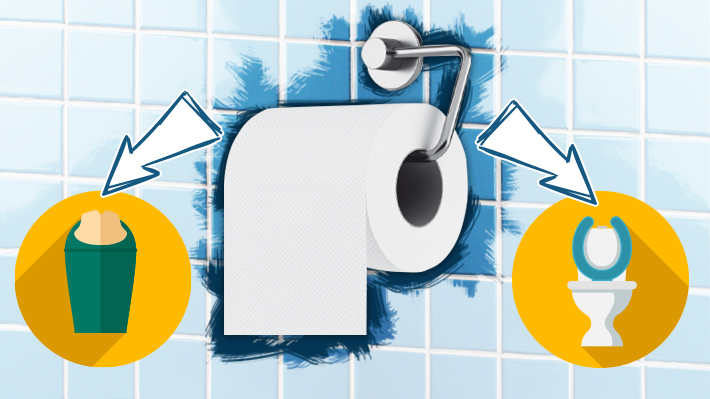 Al basurero o al inodoro?: Dónde se debe desechar el papel higiénico usado para que impacto sea menor Emol.com