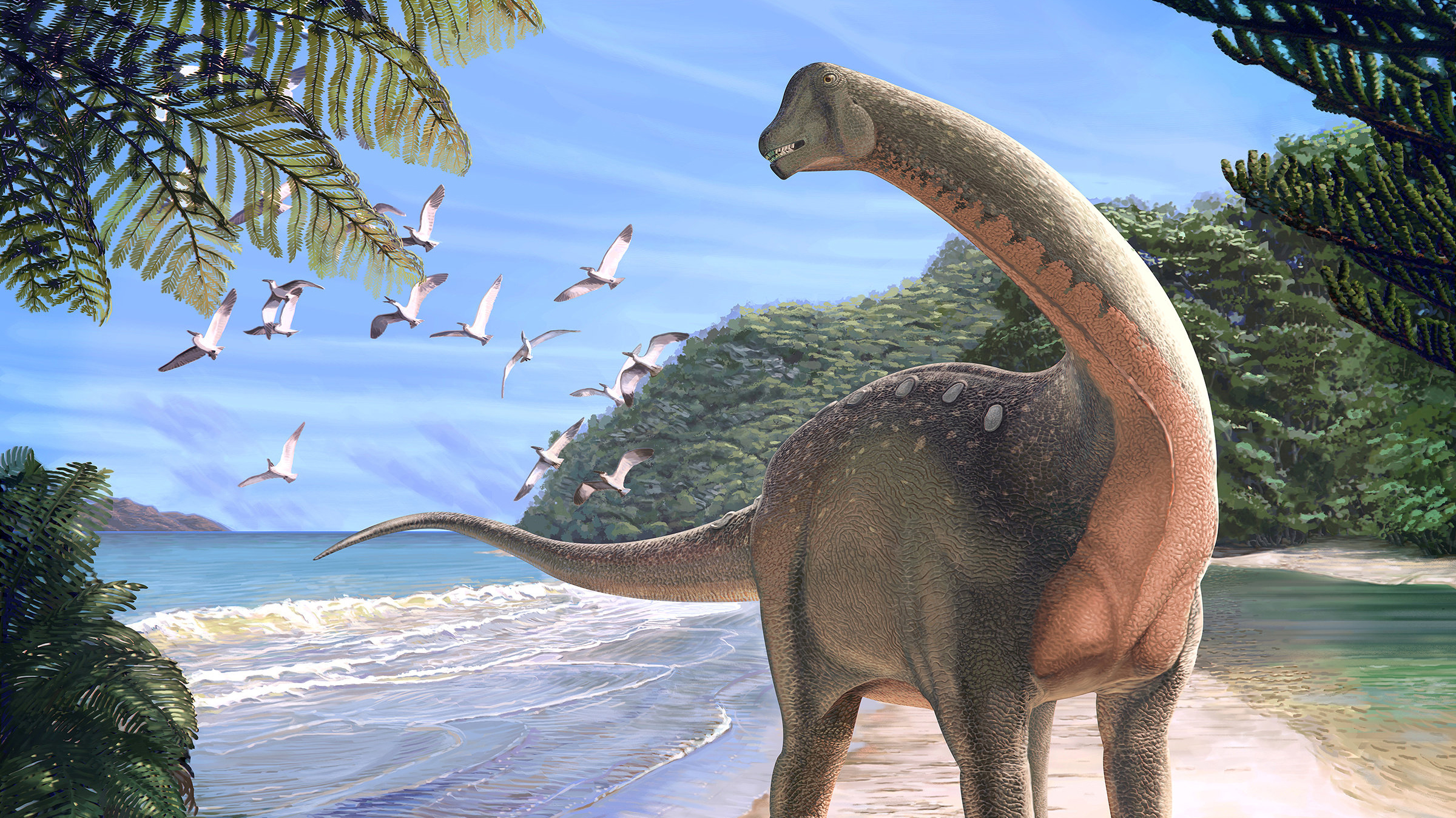 Un nuevo titanosaurios de hace 80 millones de años fue descubierto en Egipto