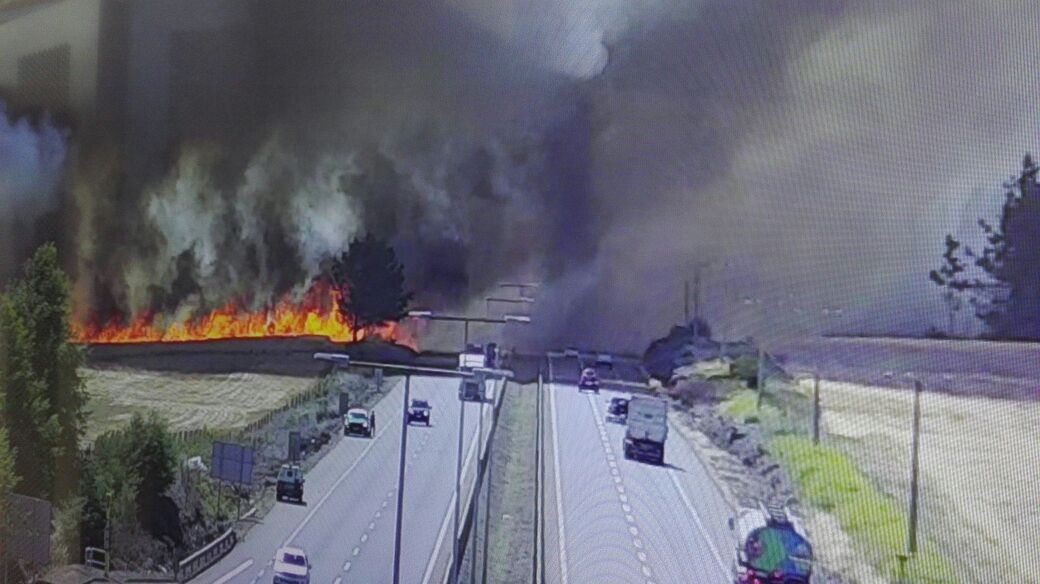 Incendio forestal en Ercilla deja a Bombero en riesgo vital y consume unas 250 hectáreas