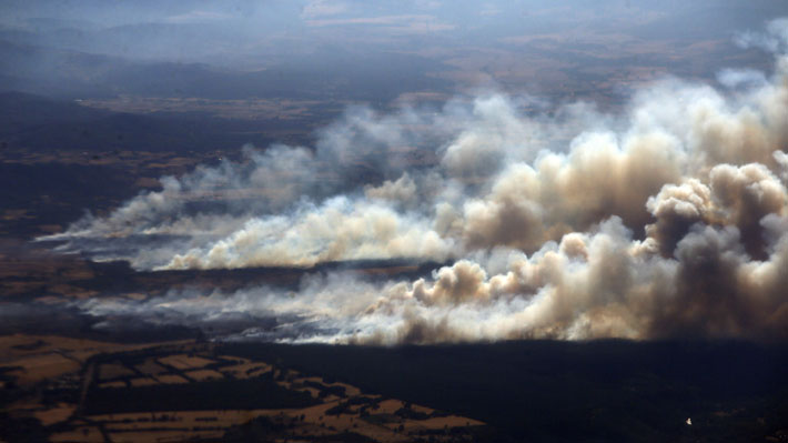 Las benignas cifras que dan cuenta de un mayor control de los incendios forestales
