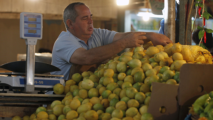 Ministro (s) de Agricultura y alza de 101% del limón: "Es absolutamente temporal"