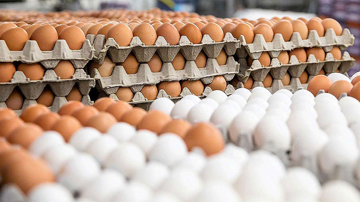 Querían solo 1.500: Chefs del equipo noruego de JJ.OO. de Invierno reciben 15 mil huevos por error de traducción