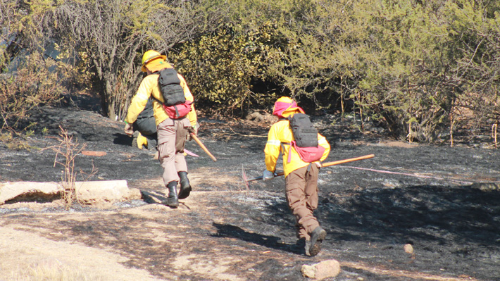 En Alerta Roja permanece la comuna de Quilpué por incendio forestal