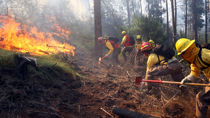 Incendio forestal en la comuna de Hualqui amenaza a viviendas del sector