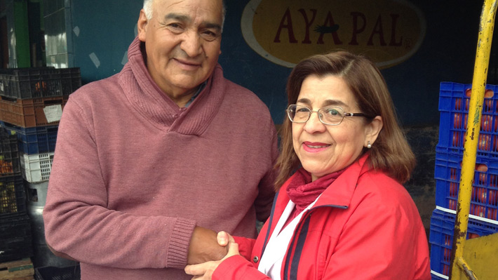 UDI y RN concentran designación de Seremis: Rosa Oyarce vuelve a Salud en la RM
