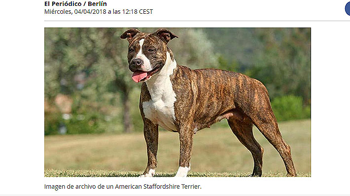 Una madre y su hijo mueren atacados por su perro en Alemania