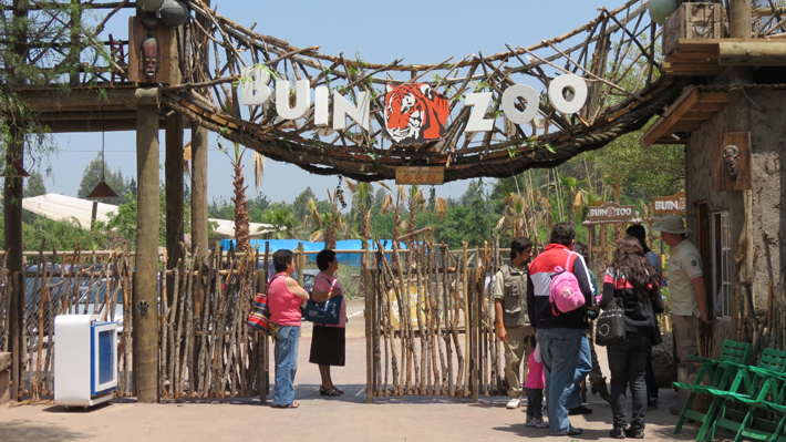 Carabinero de civil frustra robo con intimidación en las dependencias del Buin Zoo