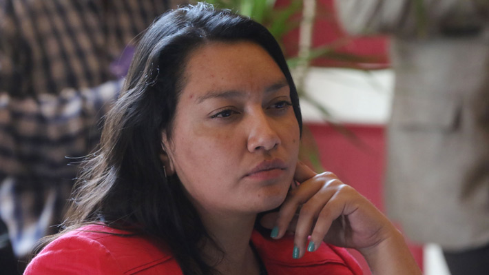 Diputada Natalia Castillo por Ley de Adopciones: "La indicación del Gobierno es tramposa y contradictoria"