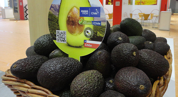 Ingreso de paltas desde Perú podría "normalizar" precios del fruto en Chile