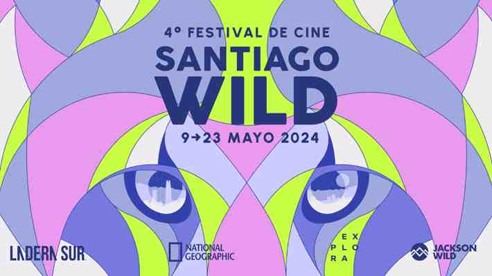 Un documental narrado por Pedro Pascal y charla de cineasta de &#34;Mi maestro el pulpo&#34;: Lo que trae el Festival Santiago Wild 2024
