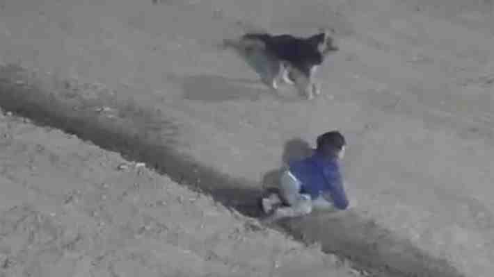 Video | Policías rescatan a niño de un año que escapó gateando de su casa con su perro de madrugada en Argentina