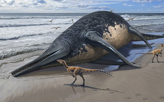 Hallan restos que confirman nueva especie de Ictiosaurio: Un reptil marino gigante que pudo medir más de 25 metros