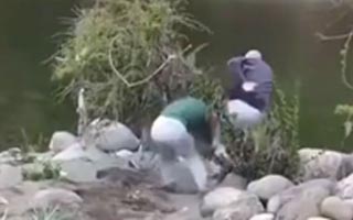Video | Joven empuja al río a hombre de tercera edad en Longaví: Mujer alega que estaban en su camping