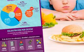Obesidad escolar cae 0,7&#37;: Tres de cada cinco niños de 5º Básico padecen malnutrición por exceso