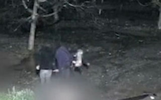 Video | Trasladaban los animales al hombro: Los detalles de la captura de banda que robaba y faenaba cerdos en la RM