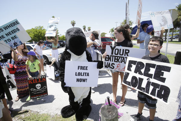 Decenas de estadounidenses demandan liberaci&oacute;n de orca encerrada en el Acuario de Miami