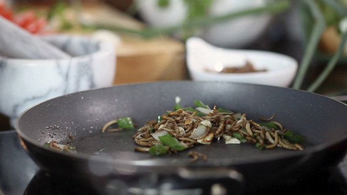 ¿Lo nuevo en delicatesen? Tras recomendaci&oacute;n de la ONU crean 1° criadero de gusanos comestibles