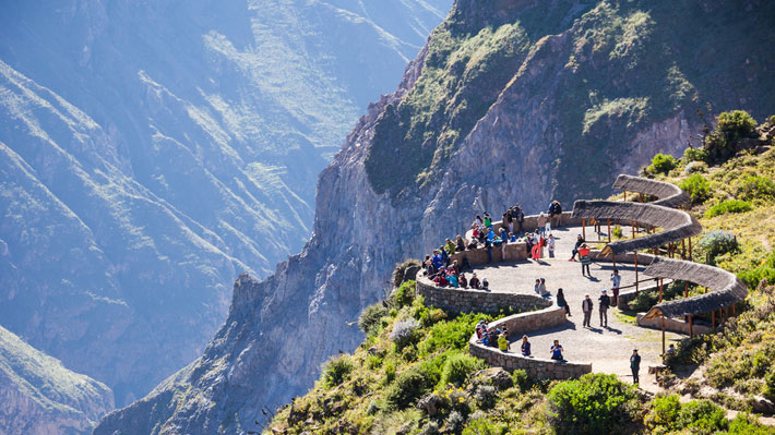 Cañón del Colca: disfruta viendo cóndores en libertad