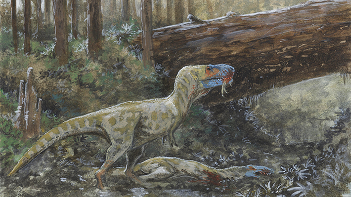El tiranosaurio rex tenía una cara escamosa, sin labios y similar a la de  los cocodrilos 