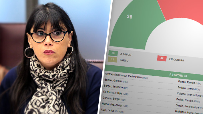 Así votaron los diputados el informe de la comisión Sename II que acusaba 