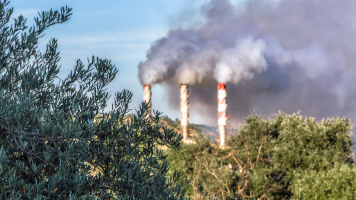 Cinco estrategias que pueden implementar las empresas para mitigar los gases de efecto invernadero